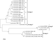 FIG 1
