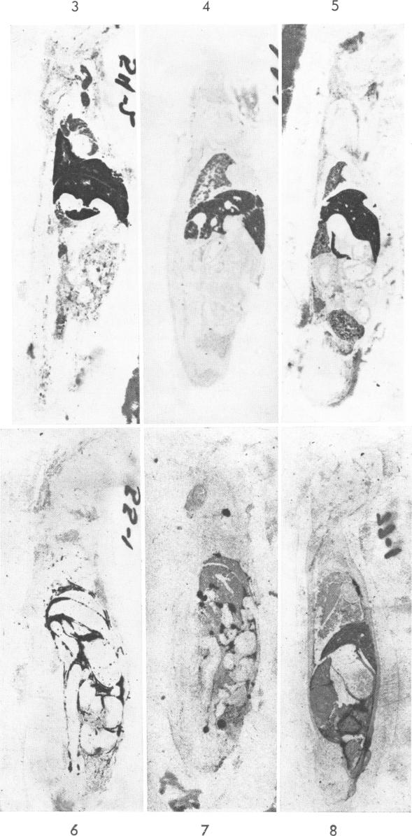 Fig. 3-8