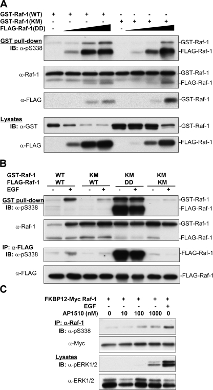 FIGURE 7.