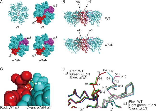 FIG 10