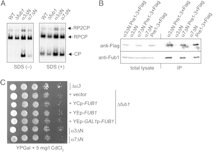 FIG 9