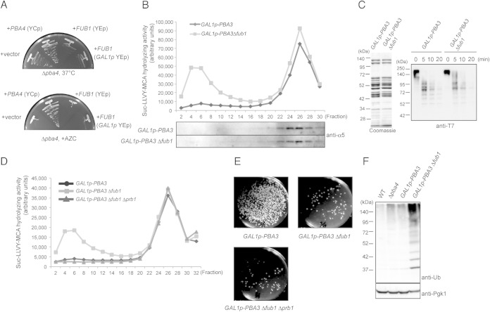 FIG 5