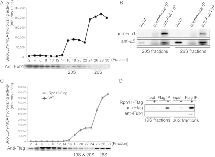 FIG 2