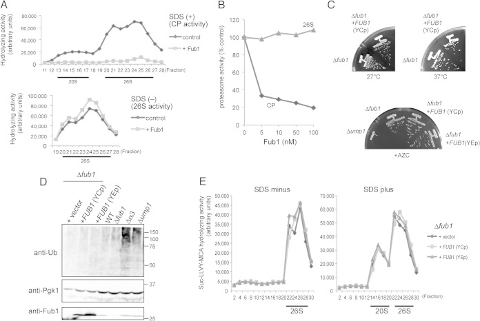 FIG 3