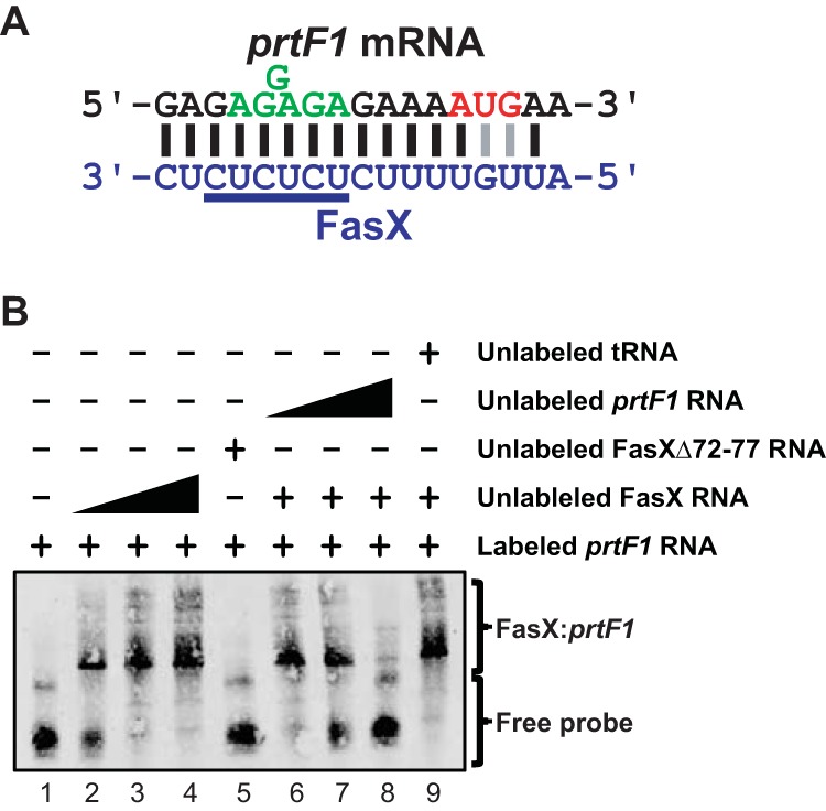 FIG 5