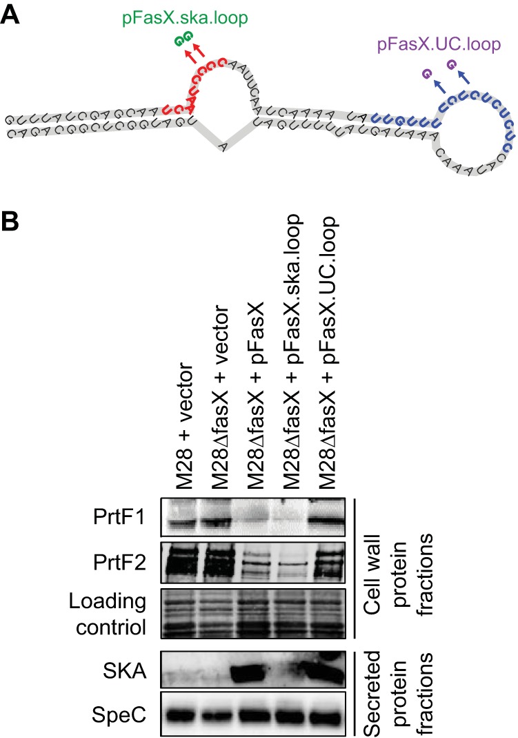 FIG 7