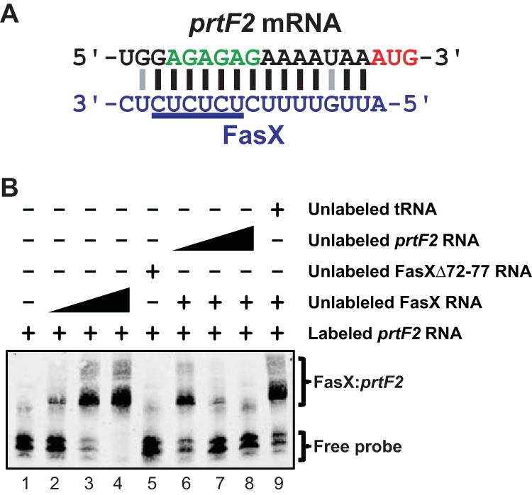 FIG 6