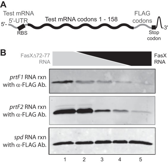 FIG 8