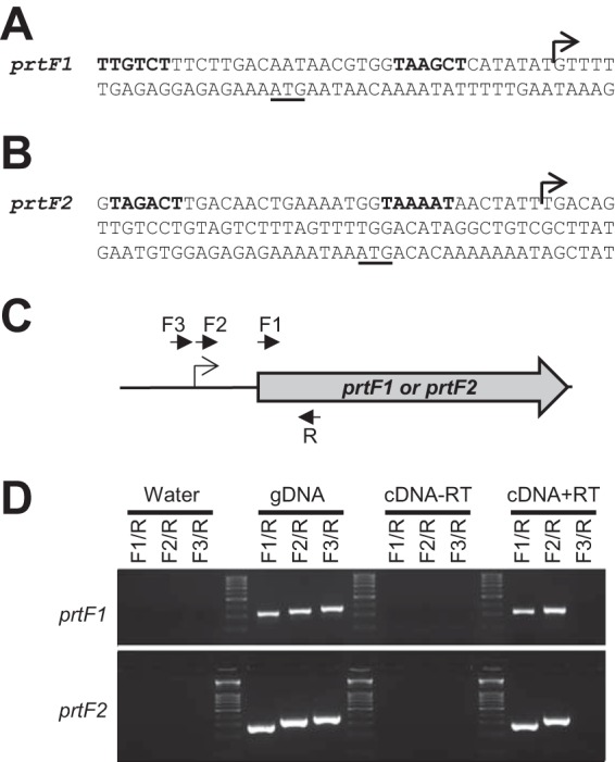 FIG 4