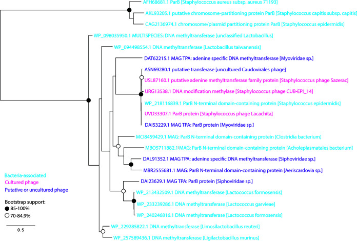 FIG 4