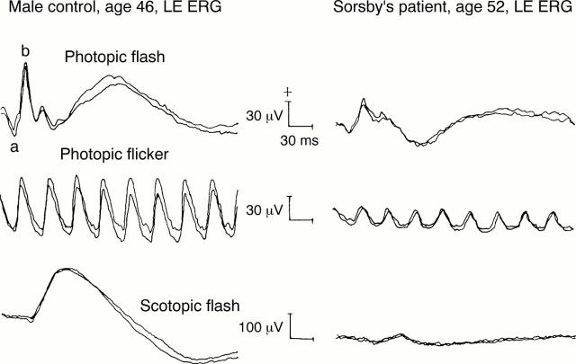 Figure 2  