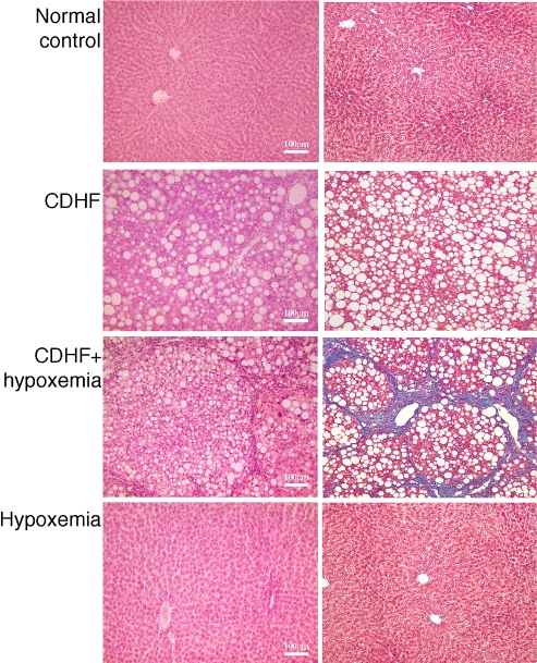 Fig. 2