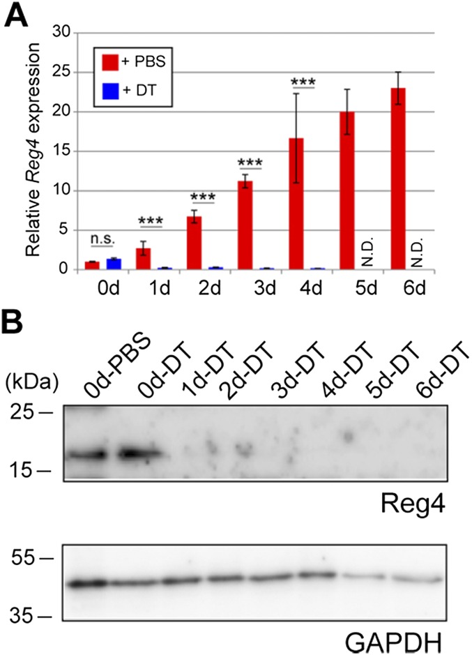 Fig. S9.