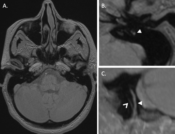 Figure 9.