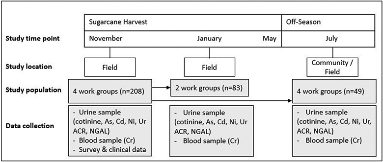 Figure 1: