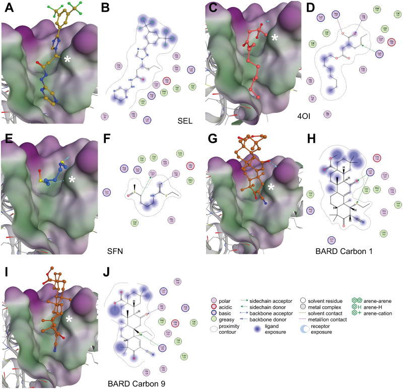 Fig 6