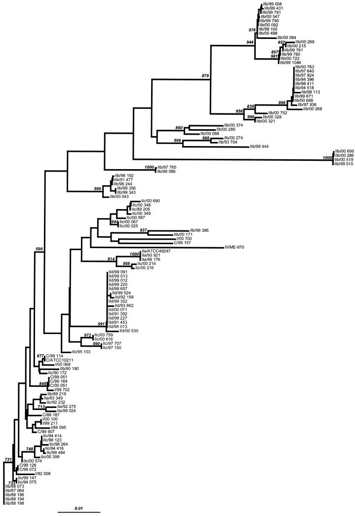 FIG. 2.