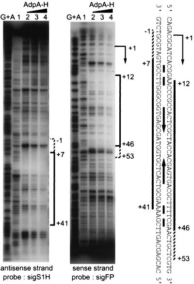 FIG. 6