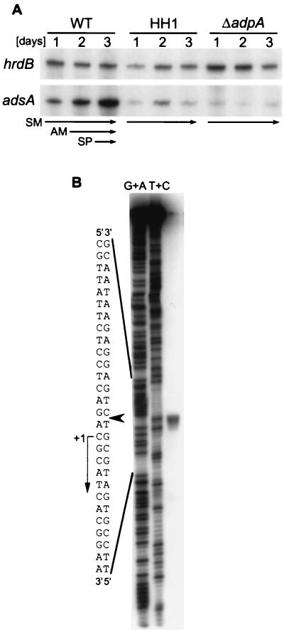 FIG. 4