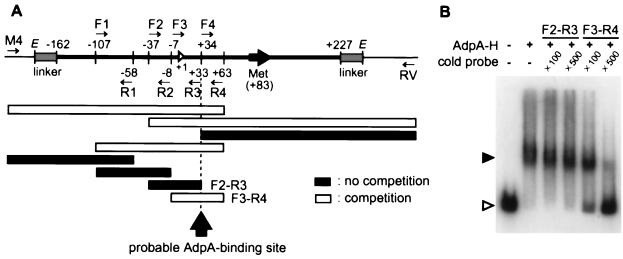 FIG. 5