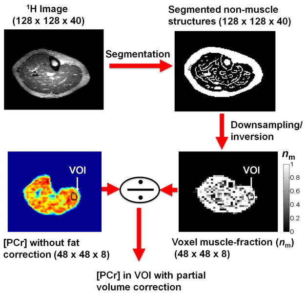 Fig. 5