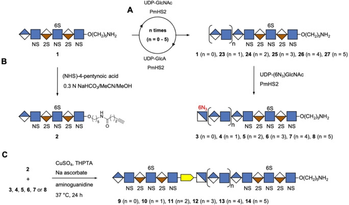 Scheme 2