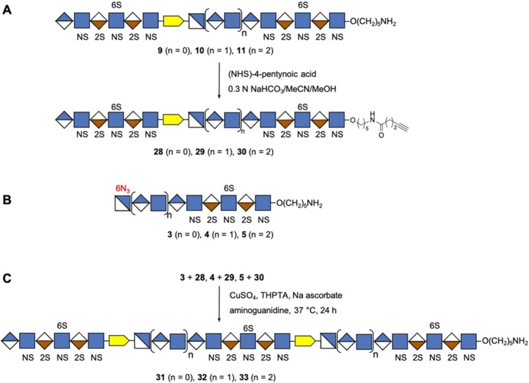 Scheme 3