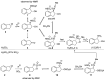 Scheme 5