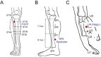 Fig. 2: