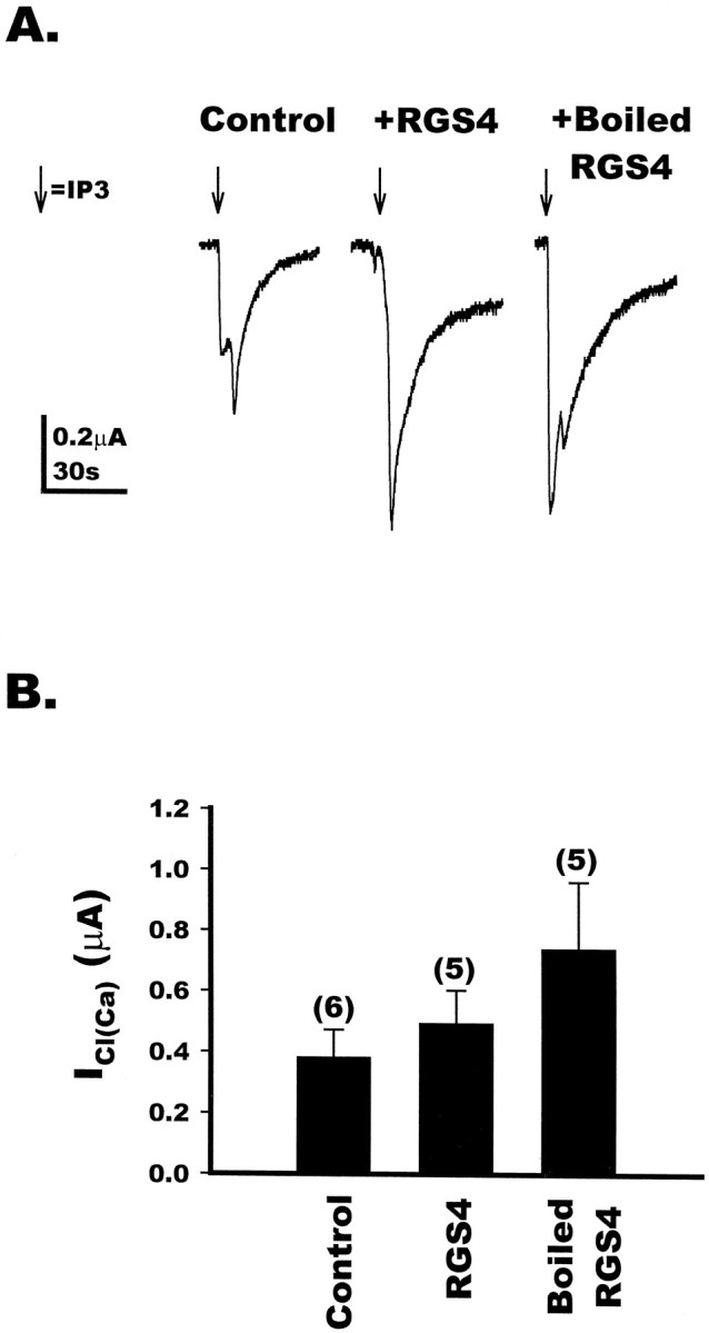 Fig. 5.