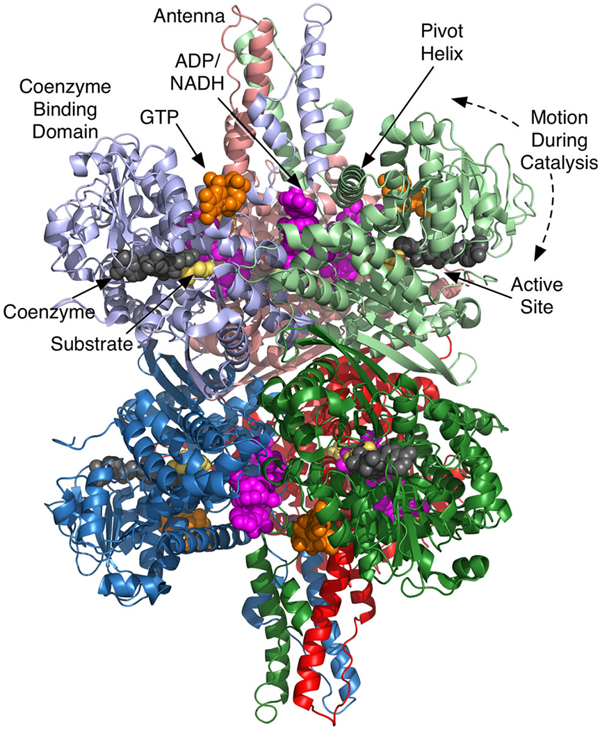 Fig. 1