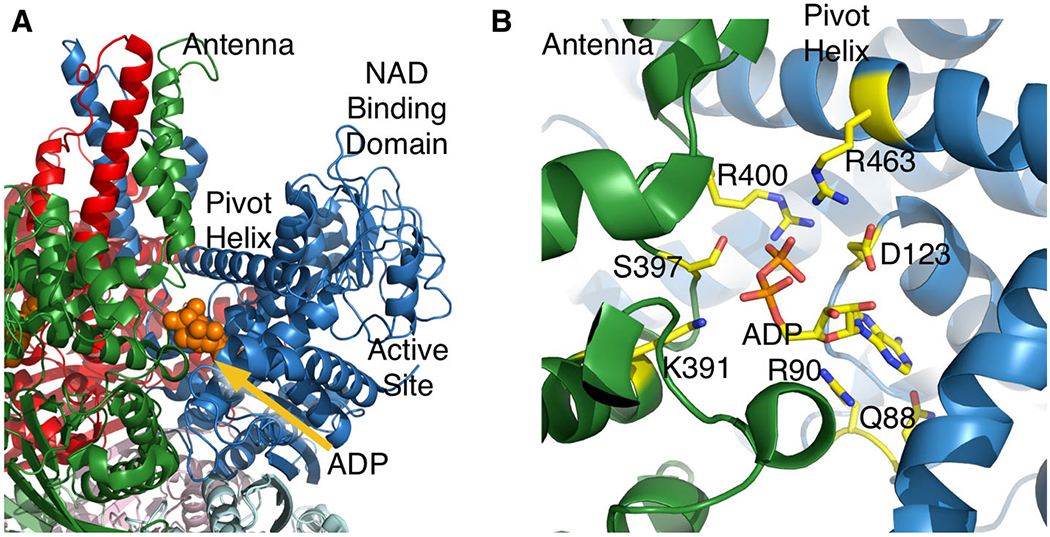 Fig. 3