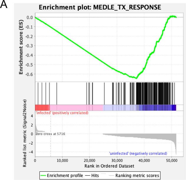 Figure 6—figure supplement 1.