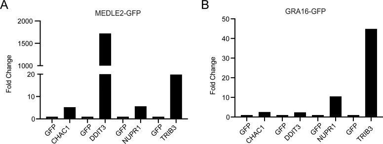 Figure 6—figure supplement 2.