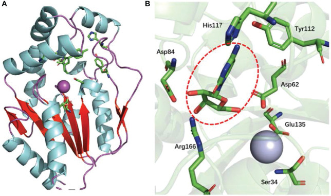 Figure 2