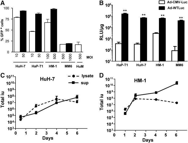 FIG. 1.