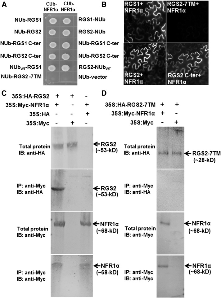 Figure 7.