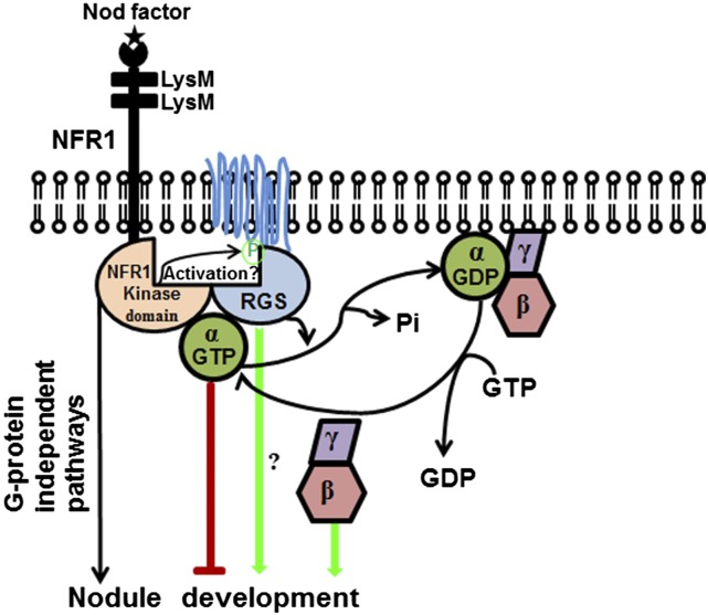 Figure 13.