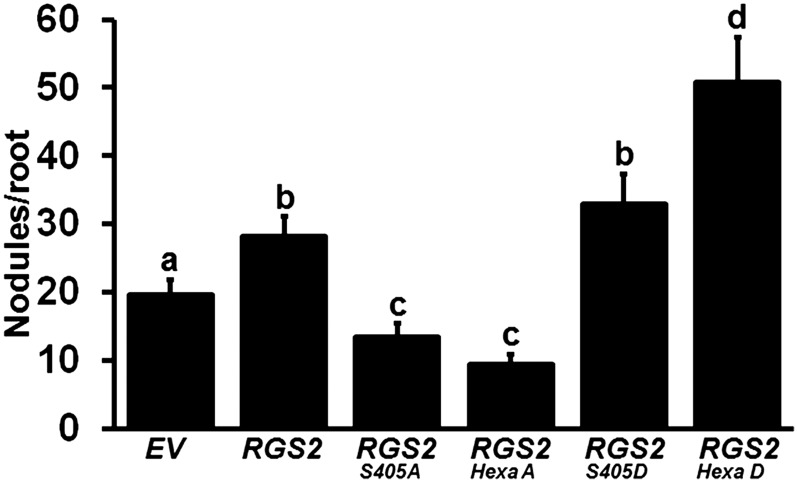 Figure 11.