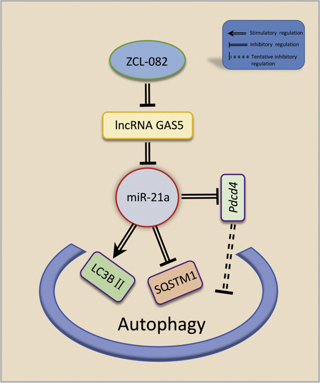 Figure 7