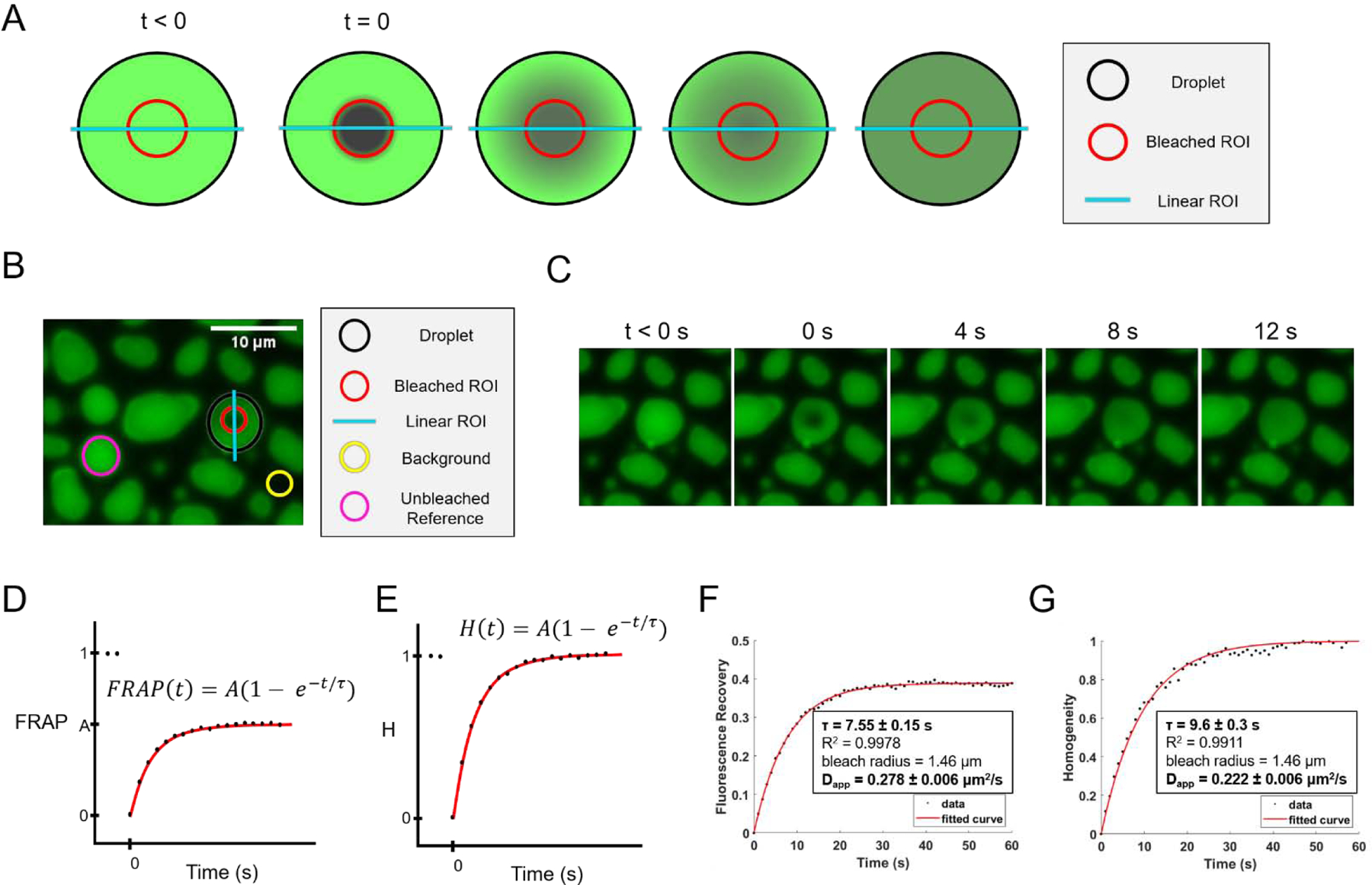 Figure 5: