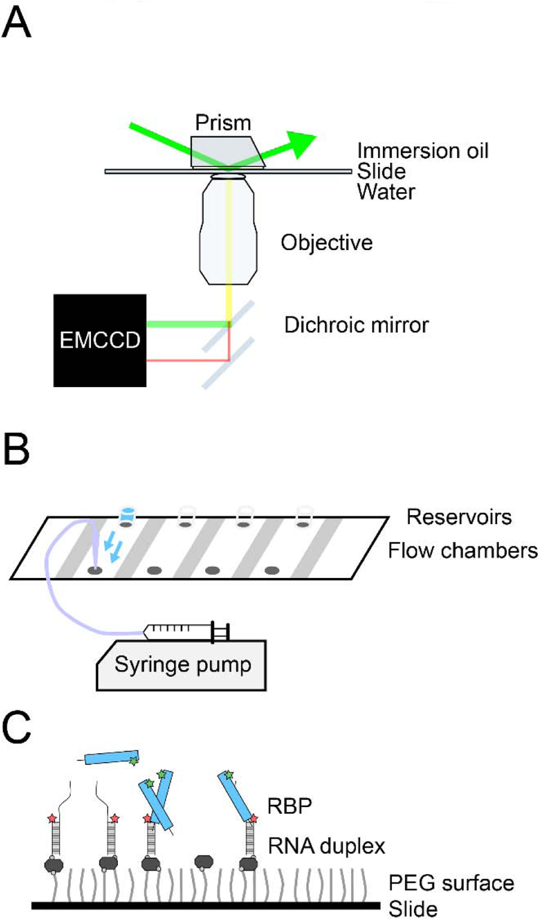 Figure 2: