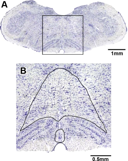 Fig. 1.