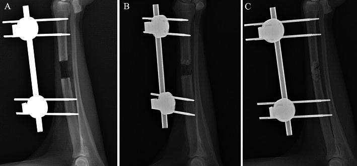 Fig. 2