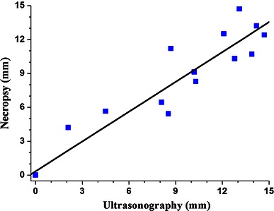 Fig. 6