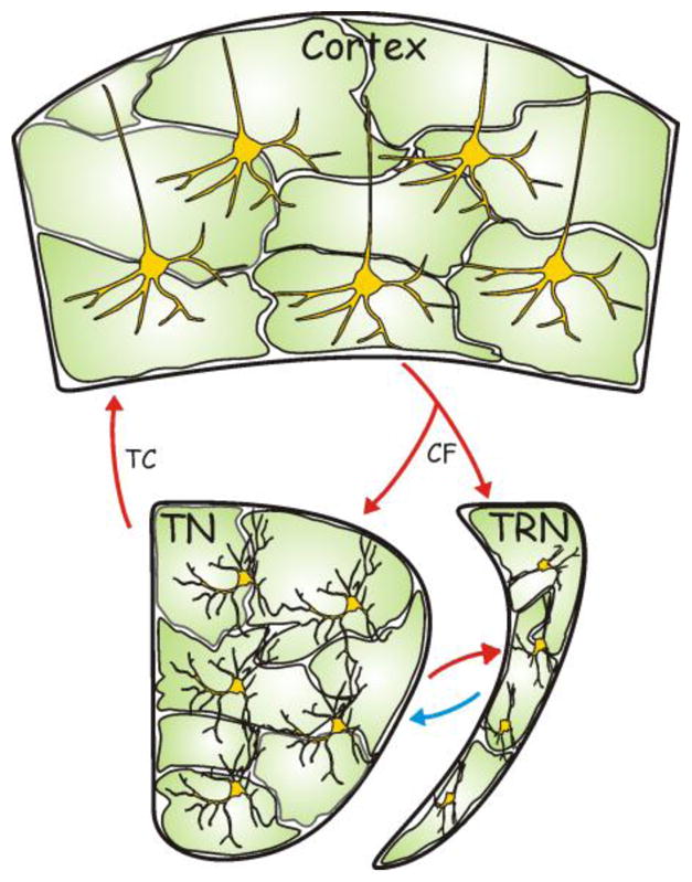 FIGURE 3