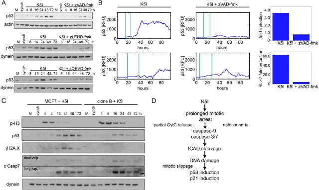 FIGURE 6: