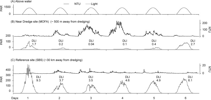 Fig 6