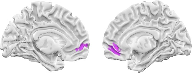 Figure 1.