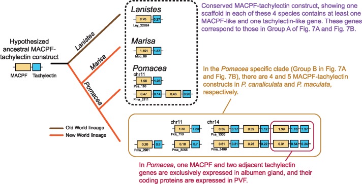 Fig. 8.